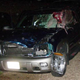 Illustration for article titled NSFW: Chevy Trailblazer Turns Deer Into Soup At 75 MPH